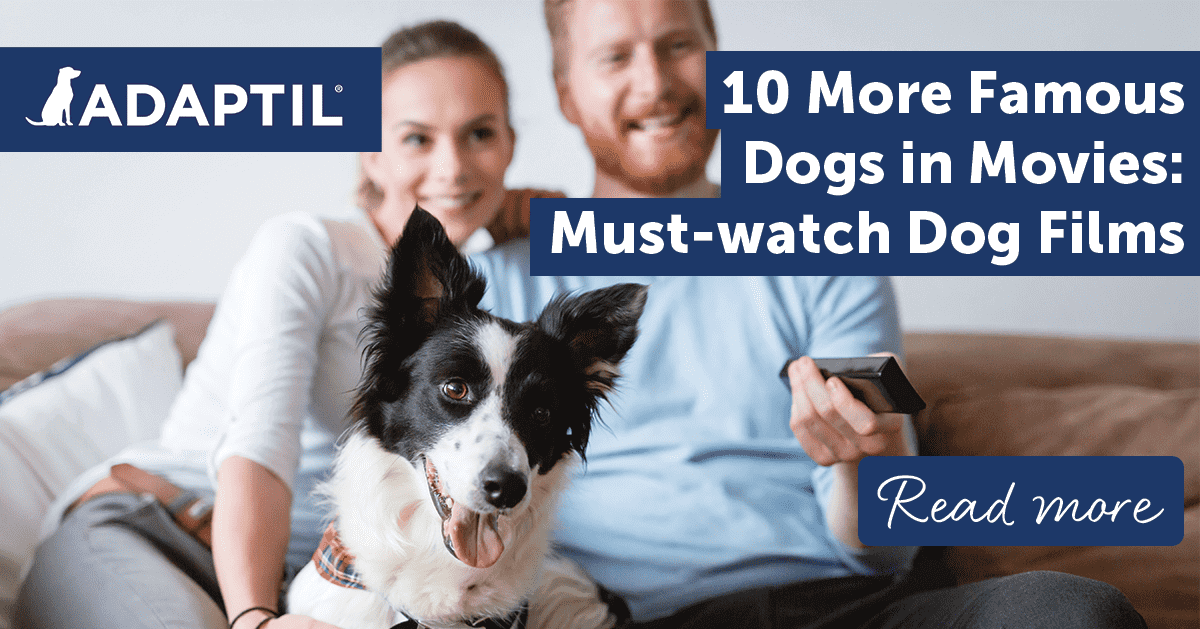 10-more-famous-dogs-in-movies-must-watch-dog-films